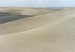 (写真1）右から左に風は強く吹いて、 バルハン型砂丘は左へ移動中。 1993年9月4日チーラ西方にて。