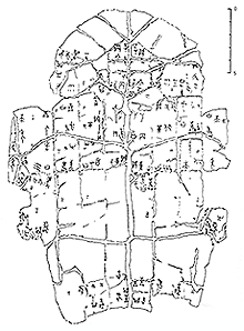 (図2）ほぼ完全な形で残っている甲羅の甲骨文の例。 東西南北別に風神名、風の地方名などが書いてある。