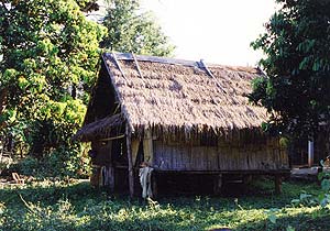 （写真1）タイ北部、チェンライ付近の高床式の古い農家。 2000年12月29日 吉野撮影©