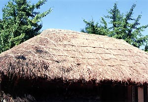 （写真1）済州島の茅葺民家の屋根。風雨対策は完全。水原（ソウル郊外）の民俗村にて。　　　　1999年10月 吉野撮影©