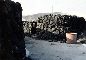 (写真3)済州島北東部の漁村で見た茅葺屋根の民家と石垣。 1999年10月 吉野撮影©