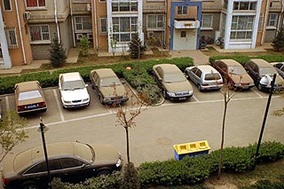 （写真4）駐車場・道路・庭、いたるところが土色となった。
