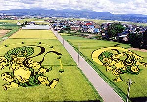 （写真1）田舎館村の田んぼアートの風神（右）と雷神（左）