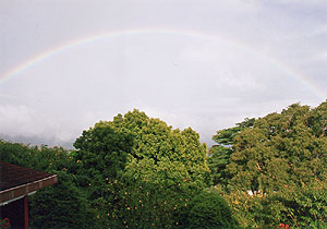 （写真4）朝日を背にして、風上側の斜面上空に低くかかる虹。谷の両側は熱帯の高さ15―20ｍの大きな樹々が茂る。 2006年12月9日8時30分、キャンディーにて吉野撮影©