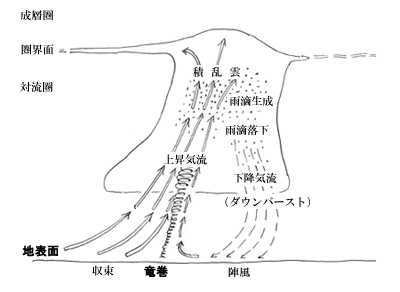 （図1）発達した積乱雲にともなう竜巻と陣風、その他の現象を示す模式図