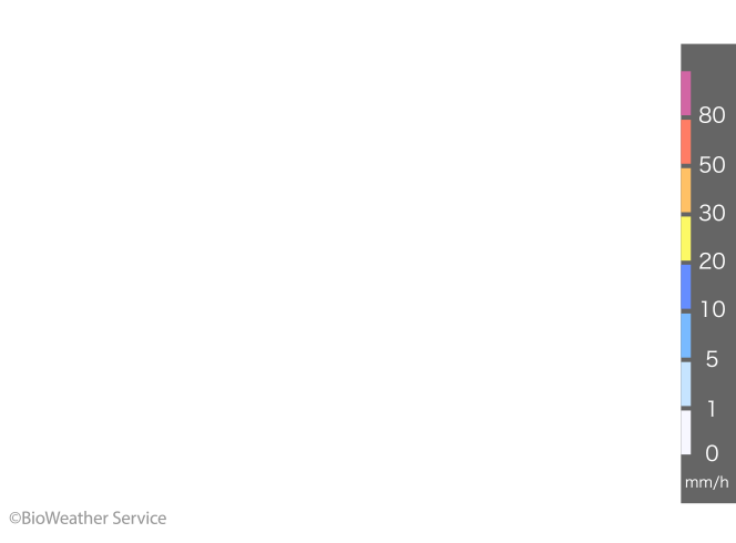 雨レーダー バイオウェザーサービス