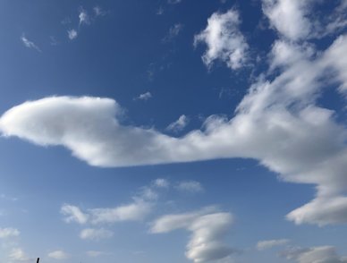 Retina top 20260315a%402x