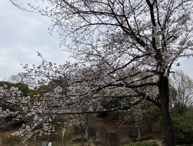 Retina top 20260325a%402x