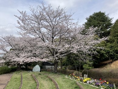 Retina top 20260405a%402x