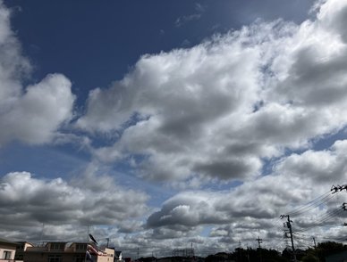 Retina top 20260421a%402x